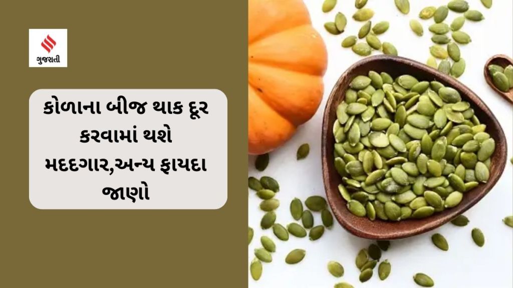 Health Tips : કોળાના બીજ થાક દૂર કરવામાં થશે મદદગાર,અન્ય ફાયદા જાણો Health Tips : કોળાના બીજ થાક દૂર કરવામાં થશે મદદગાર,અન્ય ફાયદા જાણો