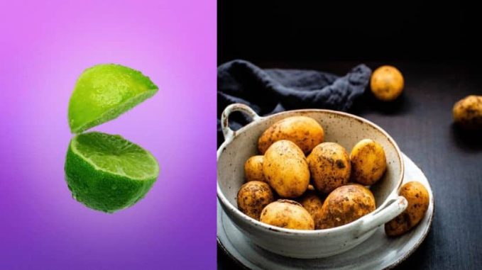 બટાકાના રસમાં લીંબુનો રસ મિક્સ કરીને આંખોની નીચે લગાવવાથી ડાર્ક સર્કલ ઓછા થાય છે. આ રસને આંખોની નીચે કાળજીપૂર્વક લગાવો.