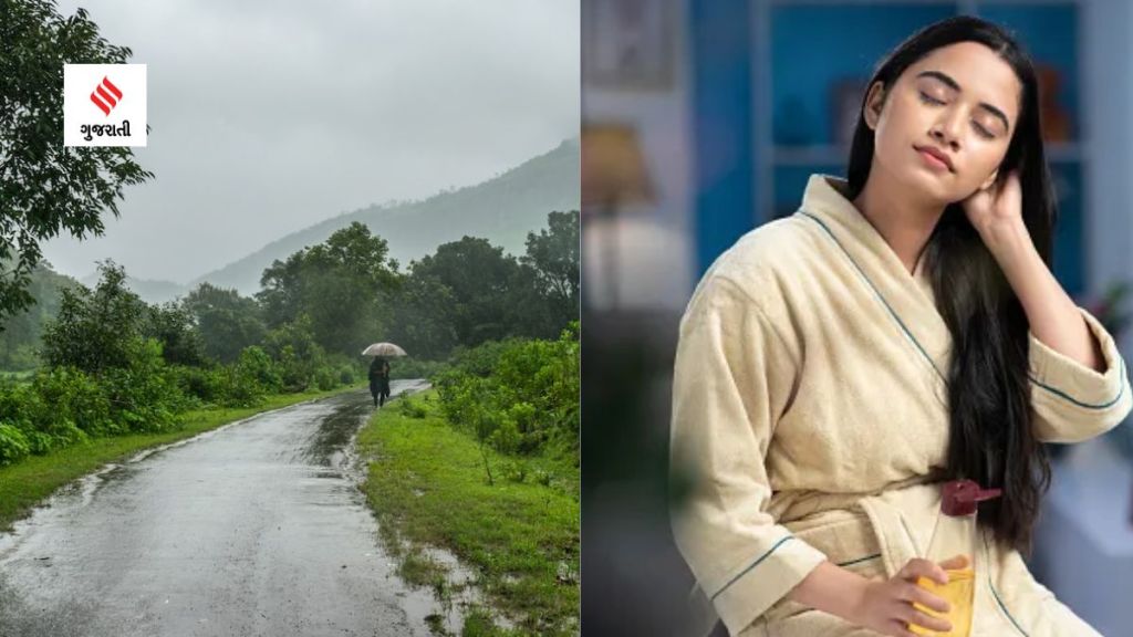 Monsoon Haircare Tips : ચોમાસા દરમિયાન વાળને લગતી સમસ્યા વધે છે, આ બાબતોનું ધ્યાન રાખવું જરૂરી Monsoon Haircare Tips : ચોમાસા દરમિયાન વાળને લગતી સમસ્યા વધે છે, આ બાબતોનું ધ્યાન રાખવું જરૂરી