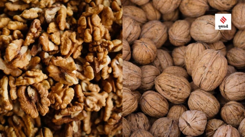 Walnuts : અખરોટ ખાવાના ફાયદા અને આડ-અસરો વિષે જાણો