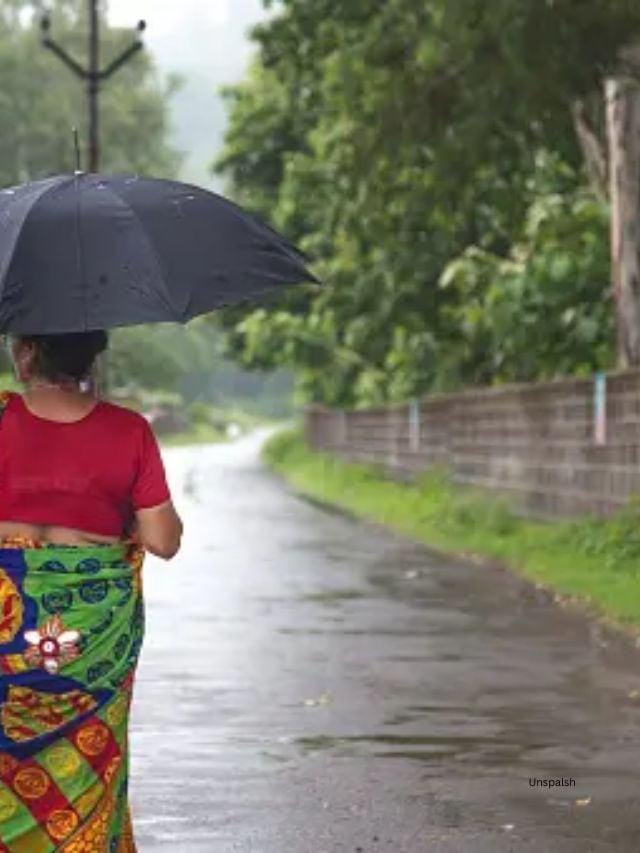 ચોમાસુંનું આહલાદક વાતાવરણ હંમેશા આપણા ચહેરા પર સ્મિત લાવે છે, પરંતુ આ ચોમાસુ સ્કિનની સમસ્યાઓ પણ સાથે લાવે છે. જેમ કે, તમારી સ્કિન અને વાળને વરસાદની મોસમમાં થોડી વધુ સંભાળની જરૂર પડે છે.