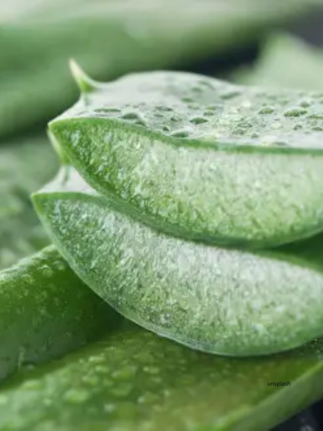 <strong>એલોવેરા અને દહીં :</strong> એલોવેરા શરીરની સાથે વાળ માટે પણ બહુ ફાયદાકારક છે. વાળને સિલ્કી અને મુલાયમ બનાવવા એલોવેરા અને દહીંના હર માસ્કનો ઉપયોગ કરો.આ માસ્ક વાળને પોષણ આપે છે. એનાથી વાળ મુલાયમ બને છે.