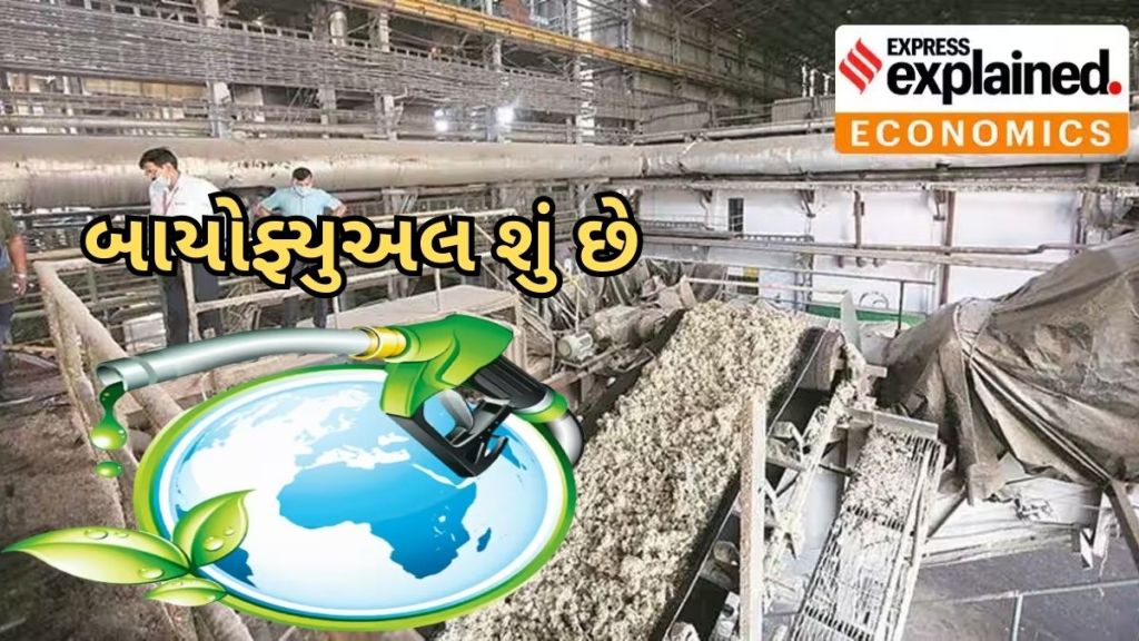 G20 Summit: બાયોફ્યુઅલ શું છે? કયા કયા દેશ બન્યા તેના સભ્ય, કેવી રીતે પીએમ મોદીએ એક કાંકરે અનેક પક્ષી માર્યા