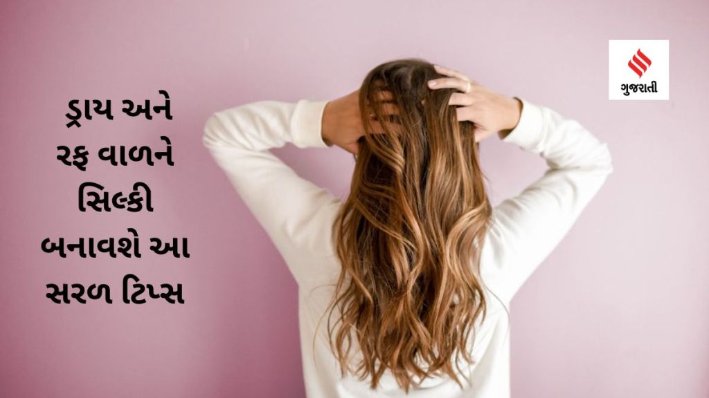 Haircare Tips : ડ્રાય અને રફ વાળને સિલ્કી બનાવશે આ સરળ ટિપ્સ Haircare Tips : ડ્રાય અને રફ વાળને સિલ્કી બનાવશે આ સરળ ટિપ્સ