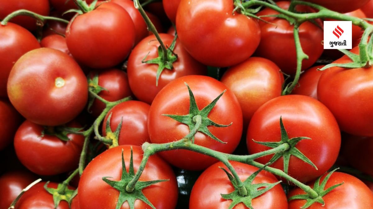 Health Tips Tomato Benefits ટામેટા ખાવાના ફાયદા, ડાયાબિટીસ દર્દીઓ અને