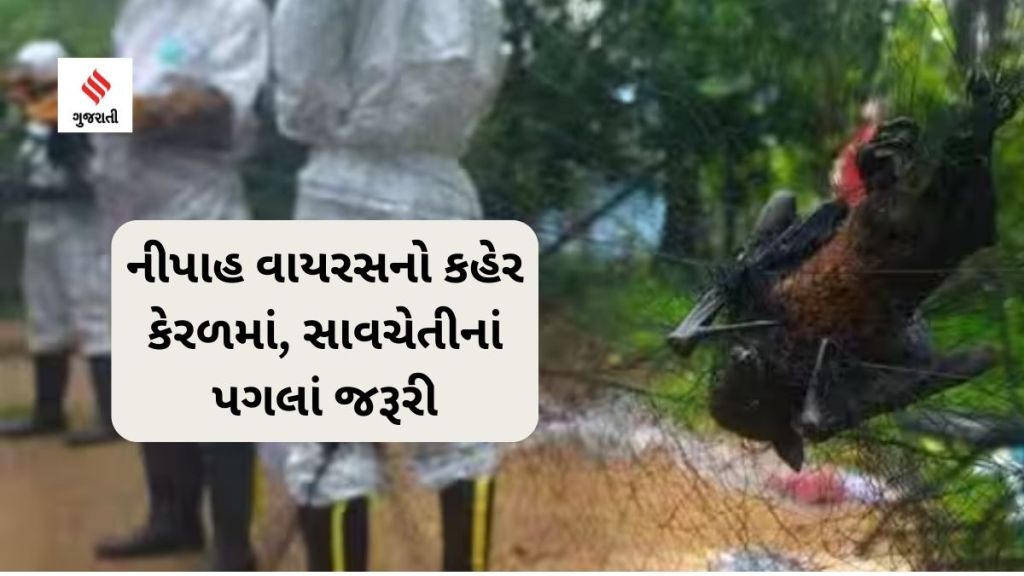 Nipah Virus : કેરળમાં નીપાહ વાયરસનો કહેર, સાવચેતીનાં પગલાં જરૂરી Nipah Virus : કેરળમાં નીપાહ વાયરસનો કહેર, સાવચેતીનાં પગલાં જરૂરી