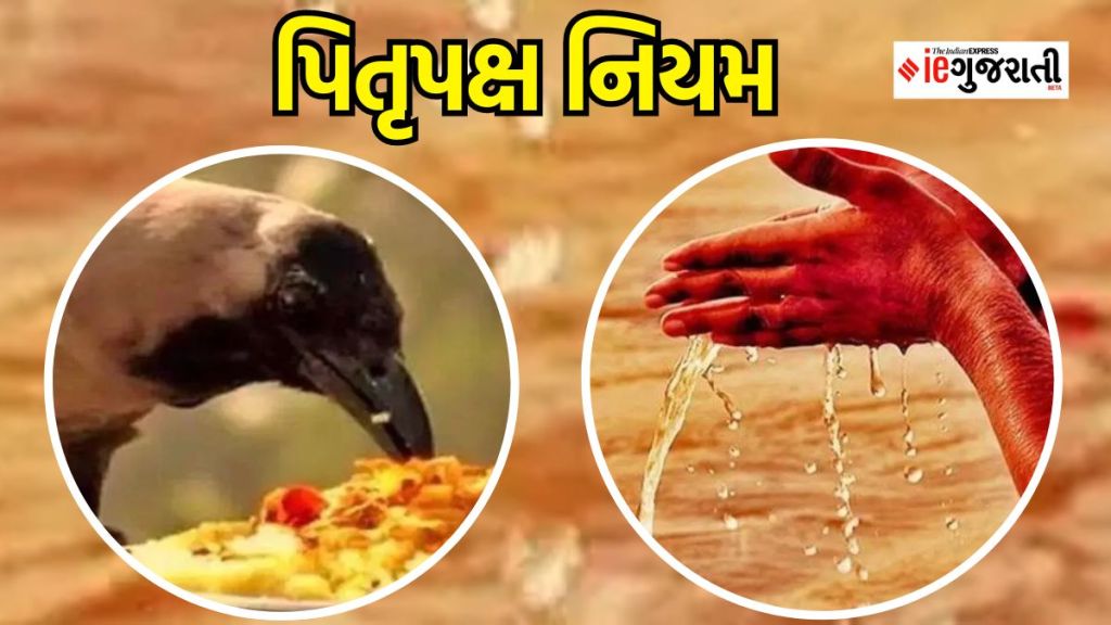 Pitru Paksha 2023 : પિતૃ પક્ષમાં નવી વસ્તુઓ ખરીદવા પર શા માટે પ્રતિબંધ છે? જાણો જ્યોતિષ શું કહે છે