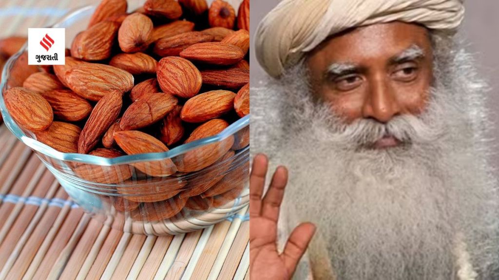 Sadhguru Health Tips : બદામની છાલ ઉતાર્યા વિના તેનું સેવન ન કરો, આ જીવલેણ રોગનું જોખમ વધી શકે, જાણો સદગુરુએ શું સમજાવ્યું Sadhguru Health Tips : બદામની છાલ ઉતાર્યા વિના તેનું સેવન ન કરો, આ જીવલેણ રોગનું જોખમ વધી શકે, જાણો સદગુરુએ શું સમજાવ્યું
