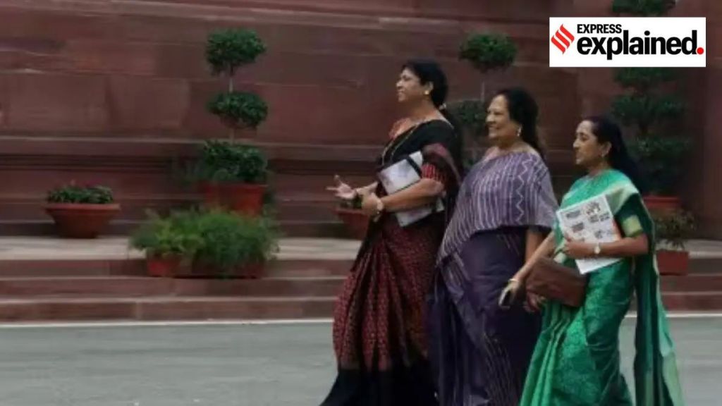 વિશ્વના 10 મોટા લોકશાહી દેશોની સંસદમાં મહિલાઓનું પ્રતિનિધિત્વ છે? ભારતની સરખામણીમાં કેટલું વધુ, કેટલું ઓછું?