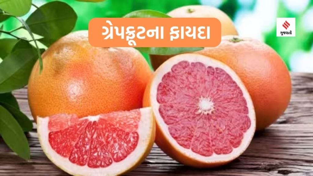 Grapefruits Health Benefits : નારંગી જેવું આ ફળ છે સ્વાસ્થ્યનો ખજાનો, દરરોજ માત્ર 100 ગ્રામ સેવન કરવાથી દૂર થશે અનેક બીમારીઓનો ખતરો, જાણો હેલ્થ એક્સપર્ટ્સ પાસેથી ગ્રેપફ્રૂટના ફાયદા