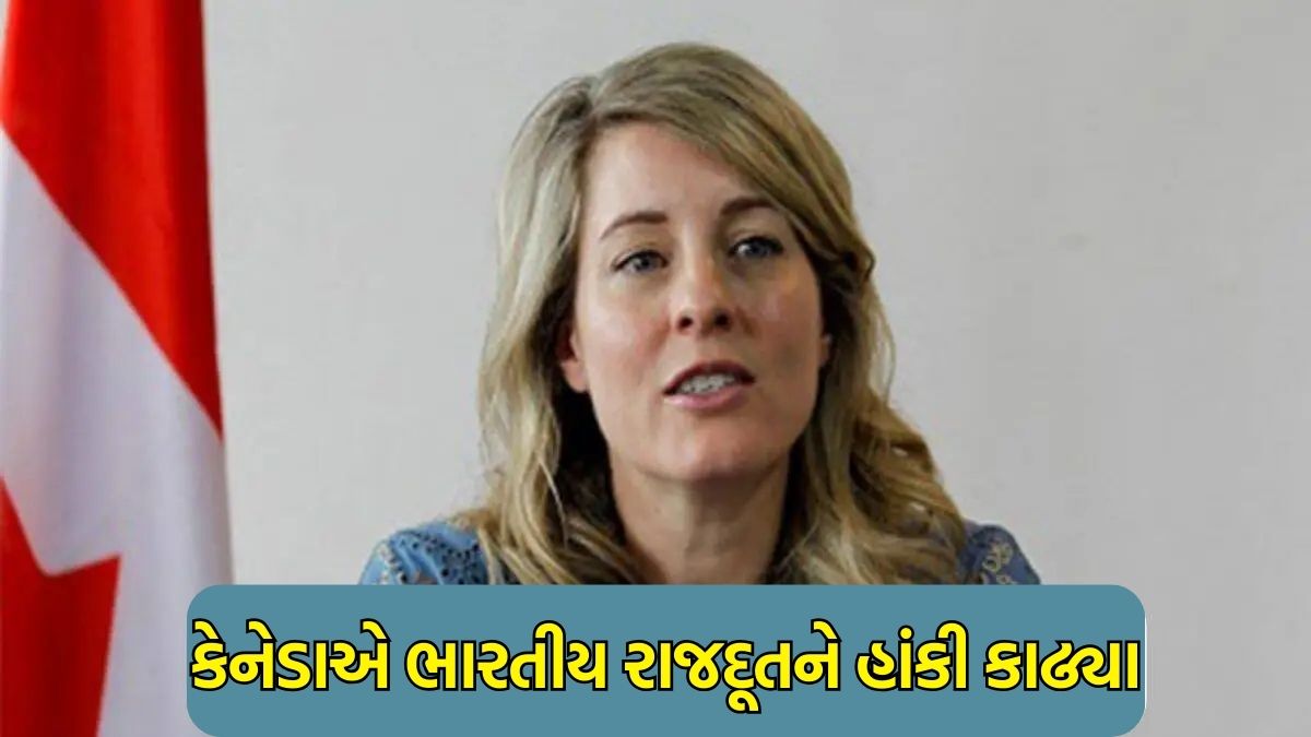 Lazy Load Placeholder Image