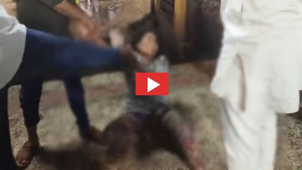 ‘ભૈયા-ભૈયા’ બુમો પાડતી રહી… આરોપીઓએ ઘસેડી, લાકડીઓ મારી, મોંઢા પર લાતો મારી – VIDEO વાયરલ ‘ભૈયા-ભૈયા’ બુમો પાડતી રહી… આરોપીઓએ ઘસેડી, લાકડીઓ મારી, મોંઢા પર લાતો મારી – VIDEO વાયરલ