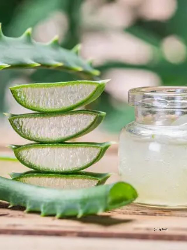 <strong>એલોવેરા : </strong>એલોવેરામાં સોજા વિરોધી ગુણધર્મ હોય છે જે ઘા ભરવામાં અને ફેસ પર ડાઘ દૂર કરવામાં ફાયદાકારક સાબિત થઇ શકે છે.