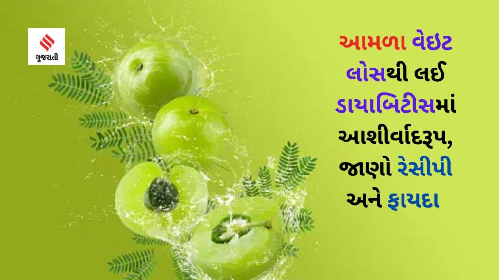 Amla Benefits : આમળા ખાવા પસંદ નથી? આ ટિપ્સ થશે મદદગાર, વેઇટ લોસથી લઈ ડાયાબિટીસમાં આશીર્વાદરૂપ Amla Benefits : આમળા ખાવા પસંદ નથી? આ ટિપ્સ થશે મદદગાર, વેઇટ લોસથી લઈ ડાયાબિટીસમાં આશીર્વાદરૂપ