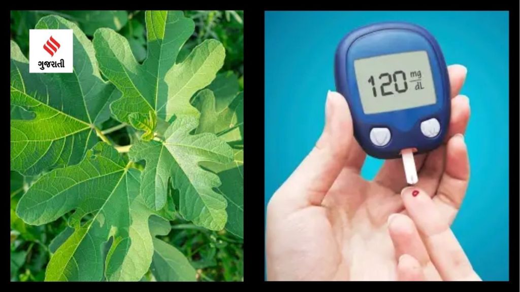 Health Tips : ડાયાબિટીસ ગમે તેટલી ગંભીર હોય, આ 3 વસ્તુના પાંદડા ઇન્સ્યુલિનની જેમ કામ કરશે, અહીં જાણો Health Tips : ડાયાબિટીસ ગમે તેટલી ગંભીર હોય, આ 3 વસ્તુના પાંદડા ઇન્સ્યુલિનની જેમ કામ કરશે, અહીં જાણો