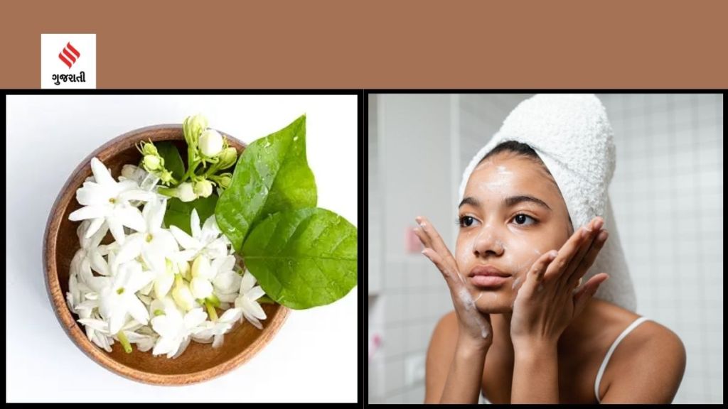Skincare Tips : તહેવારોમાં ઇન્સ્ટન્ટ ગ્લો માટે ઘરે સુગંધિત મોગરાનું ફેસપેક બનાવો, અહીં જાણો Skincare Tips : તહેવારોમાં ઇન્સ્ટન્ટ ગ્લો માટે ઘરે સુગંધિત મોગરાનું ફેસપેક બનાવો, અહીં જાણો