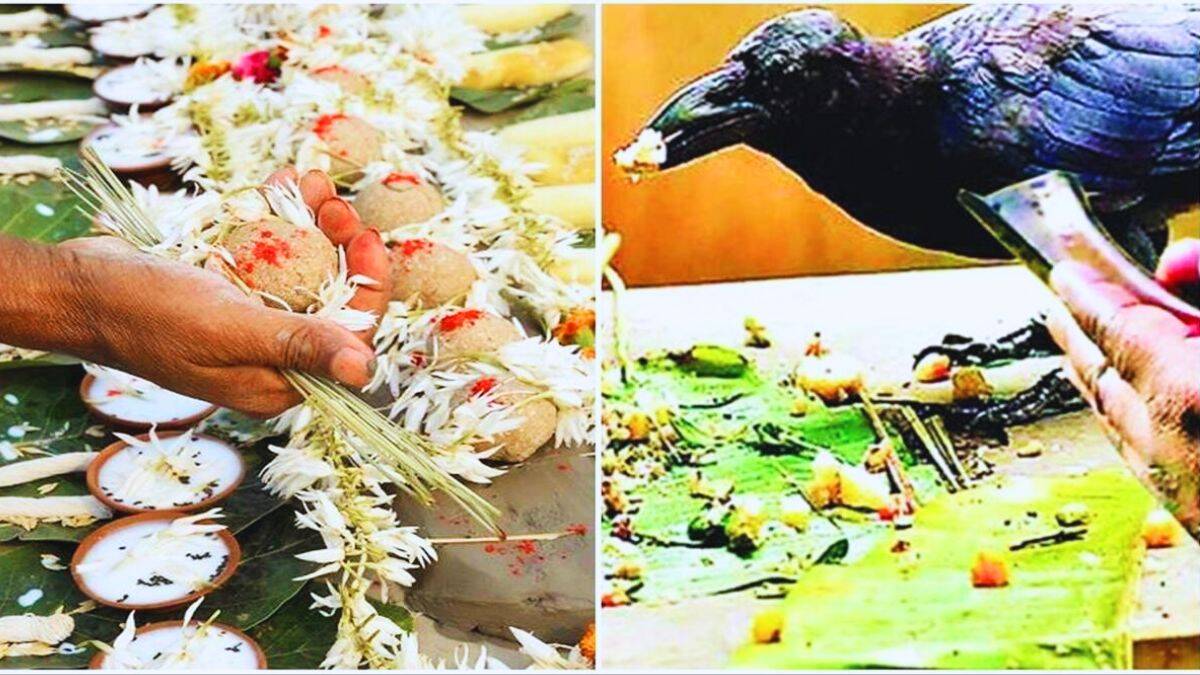 પિતૃ પક્ષ 2023 પિતૃઓને પ્રસન્ન કરવા માટે શ્રાદ્ધપક્ષમાં પંચબલી કાઢો - Pitru  Paksha 2023 Perform Panchabali in Shraddhapaksha to appease ancestors