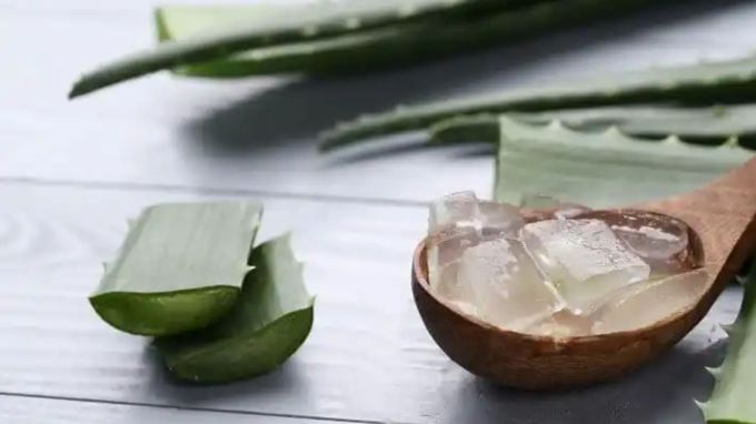 અઠવાડિયામાં બે વાર આ ઉપાય લાગુ કરવાથી વાળના વિકાસને પ્રોત્સાહન મળે છે. અઠવાડિયામાં બે વાર આ ઉપાય લાગુ કરવાથી વાળના વિકાસને પ્રોત્સાહન મળે છે.