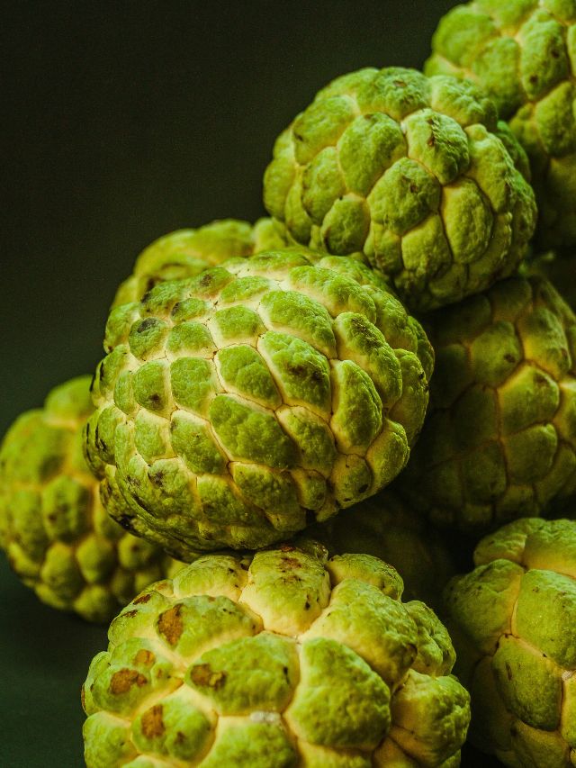 Custard Apple Health Benefits શિયાળમાં આવતું આ ફળ અઢળક ફાયદાકારક છે