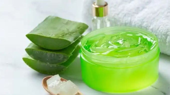 એલોવેરા એક એવો છોડ છે જે તમને વાળ ખરવાની સમસ્યામાંથી રાહત આપી શકે છે. એલોવેરા એક એવો છોડ છે જે તમને વાળ ખરવાની સમસ્યામાંથી રાહત આપી શકે છે.