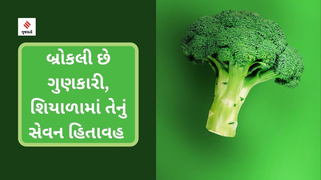 Broccoli Benefits : બ્રોકલી આટલી ગુણકારી, શિયાળામાં તેનું સેવન હિતાવહ છે? અહીં જાણો