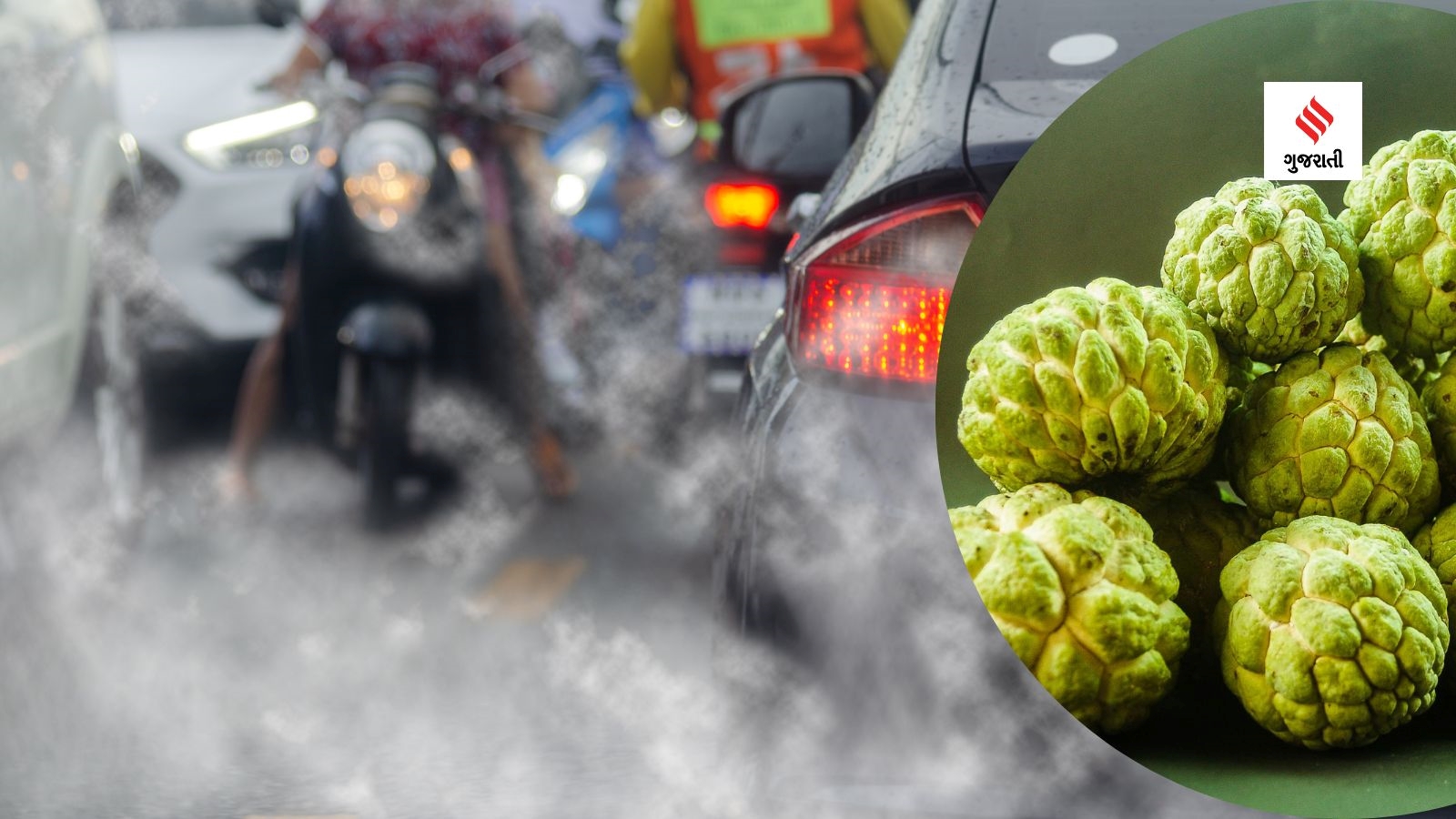 Custard Apple Benefits For Lung Health સિતાફળનું સેવન કરવાના ફાયદા