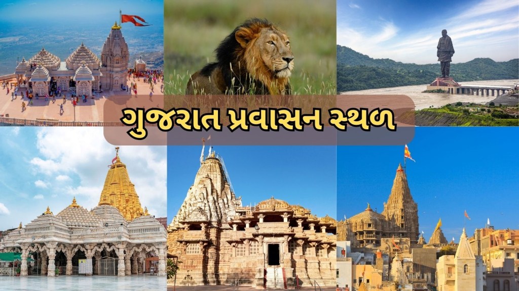 Gujarat Tourist Place : દિવાળીની રજાઓમાં ગુજરાતમાં અંબાજી, દ્વારકા, SOU સહિતના પ્રવાસન સ્થળો છલકાયા, કઈ જગ્યાએ કેટલા પ્રવાસીઓ ઉમટ્યા?