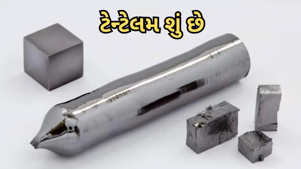 Tantalum Metal : સતલજ નદીમાંથી મળ્યો ટેન્ટેલમનો ખજાનો, શા માટે છે આ દુર્લભ ધાતુ ખાસ? જાણો બધું જ