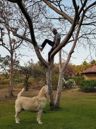 આ તસવીરોમાં તેના પિતા હજુ પણ એકદમ ફિટ દેખાય છે. આ તસવીરમાં તમે જોઈ શકો છો કે તે પોતાની ઉંમરને અવગણીને સરળતાથી ઝાડ પર ચઢી ગયો છે.