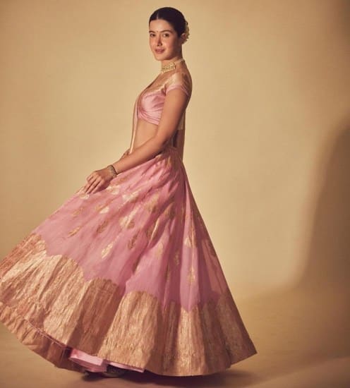 આ તસવીરોમાં અભિનેત્રીએ ગુલાબી રંગનો લહેંગા પહેરેલ જોવા મળે છે, જેમાં તે ખૂબ જ સુંદર લાગી રહી છે.