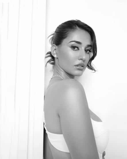 દિશાને મોટી હિટની અપેક્ષા છે. તે સલમાન ખાન સાથે ભારત ફિલ્મમાં પણ જોવા મળી છે.