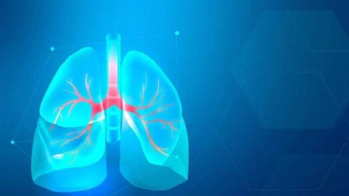 આબોહવા પરિવર્તન પહેલા પ્રદૂષણમાં વધારો થયો છે. ફટાકડાનો ધુમાડો ફેફસાં પર સીધી અસર કરે છે. (ફોટો - ફ્રીપીક)