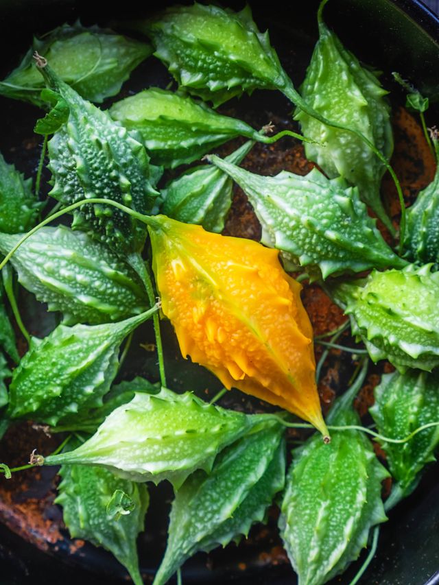 <strong>કારેલા: </strong>કારેલામાં પાણીમાં દ્રાવ્ય વિટામિન સી, લિપોફિલિક વિટામિન ઇ, અને કેરોટીનોઇડ્સ જેવા વિવિધ પ્રકારના એન્ટીઑકિસડન્ટ સંયોજનો હોય છે જે ત્વચાના કોષોને નુકસાનથી બચાવવા અને ત્વચાના સ્વાસ્થ્યને સુધારવામાં મદદ કરે છે.