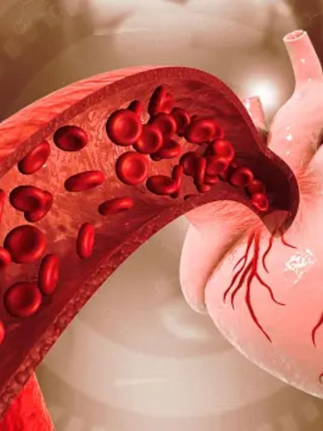 <strong>શું કાજુના સેવનથી કોલેસ્ટ્રોલ વધે છે?<br></strong>કાજુ માત્ર ખરાબ કોલેસ્ટ્રોલ અથવા એલડીએલને ઘટાડી શકતા નથી પરંતુ તેમાં મેગ્નેશિયમના ઉંચા પ્રમાણને કારણે હૃદયના રોગોથી પણ બચી શકે છે. આહારમાંથી કોલેસ્ટ્રોલ તમારા લોહીમાં કુલ કોલેસ્ટ્રોલના ત્રીજા ભાગનું યોગદાન આપે છે. ઘણા અહેવાલોમાં તેવું સાબિત થયું છે કે દિવસ દરમિયાન થોડાક કાજુ ખાવાથી લો ડેન્સિટીવાળું લિપોપ્રોટીન ઘટી શકે છે.