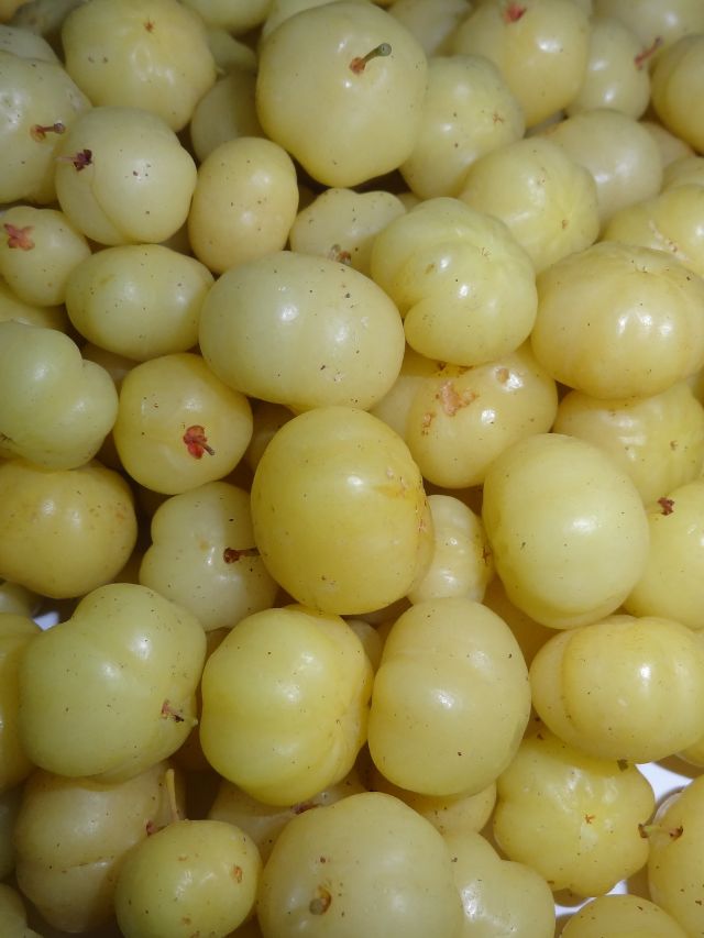 <strong>આમળા : </strong>આમળા UVB-પ્રેરિત સાયટોટોક્સિસિટી સામે અત્યંત નોંધપાત્ર ફોટો-પ્રોટેક્શન અસર પણ દર્શાવે છે, જેનાથી ત્વચાની મજબૂત રક્ષણાત્મક ક્ષમતા મળે છે. 