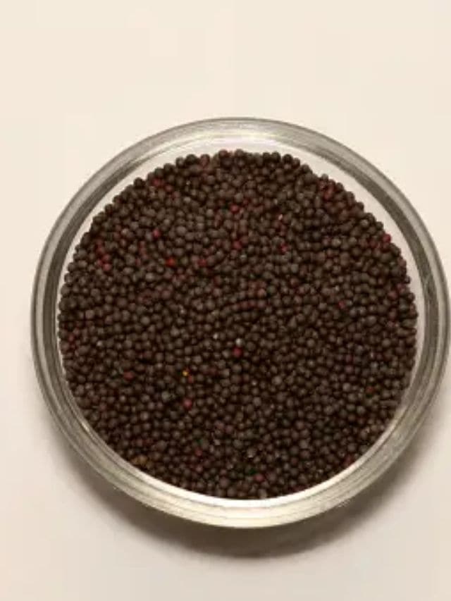 <strong>રાઈ: </strong>રાયમાં હાજર વિટામિન ઇ ત્વચાને મુક્ત રેડિકલ નુકસાન સામે રક્ષણ આપે છે અને સ્મૂથનિંગમાં મદદ કરે છે.