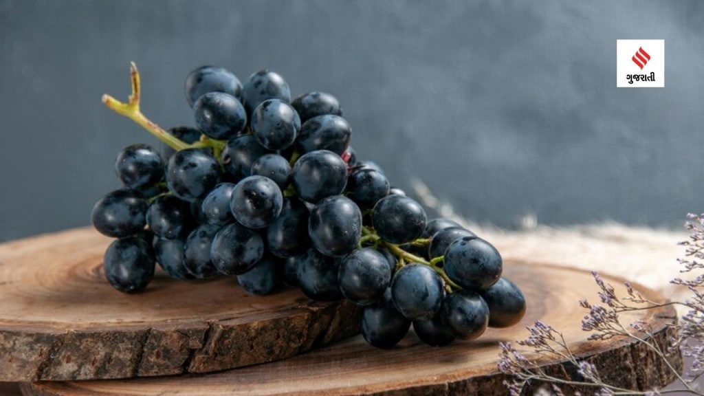 Black Graps Benefits: કાળી દ્રાક્ષ છે પોષક તત્વોનું પાવરહાઉસ, બ્લડ પ્રેશર સહિત 5 બીમારીમાં રાહત આપશે; શું ડાયાબિટીસના દર્દીઓ સેવન કરી શકે છે? જાણો