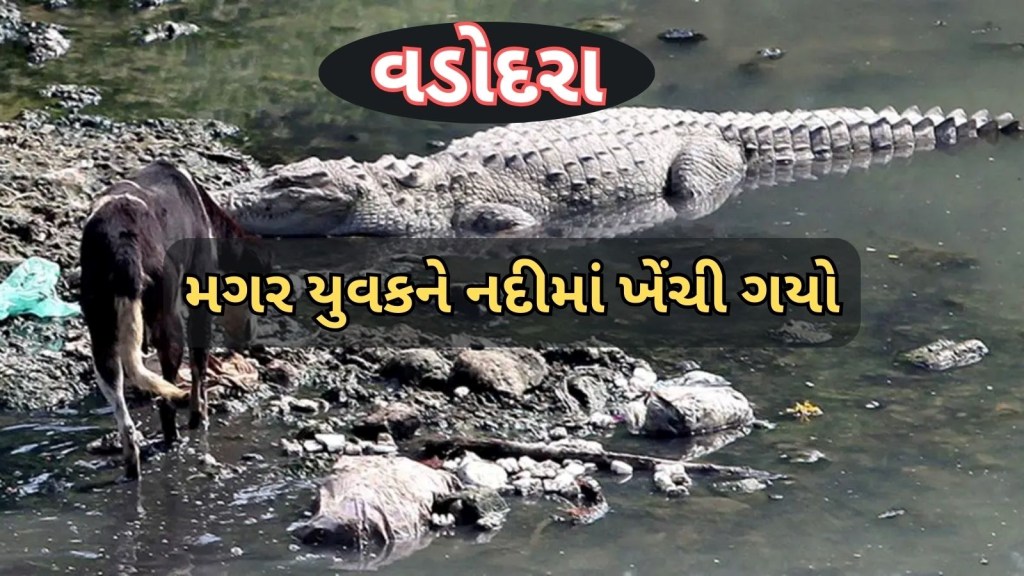 Crocodile Attack Vadodara Vishwamitri River : વડોદરા : વિશ્વામિત્રી નદીમાં મગર યુવકને ખેંચી ગયો, ફાયર વિભાગે લાશ કાઢી