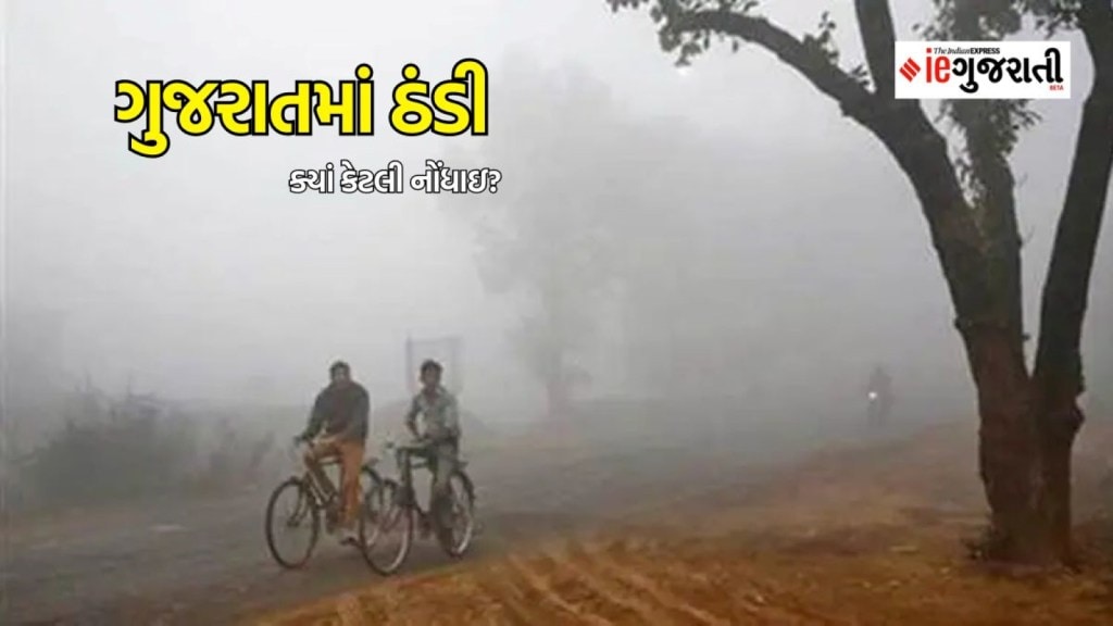 Gujarat Weather Updates: ગુજરાતમાં ઠંડી પડવાનું શરું, નલિયામાં 9.2 ડિગ્રી તાપમાન, જાણો ક્યાં કેટલી ઠંડી નોંધાઈ? Gujarat Weather Updates: ગુજરાતમાં ઠંડી પડવાનું શરું, નલિયામાં 9.2 ડિગ્રી તાપમાન, જાણો ક્યાં કેટલી ઠંડી નોંધાઈ?