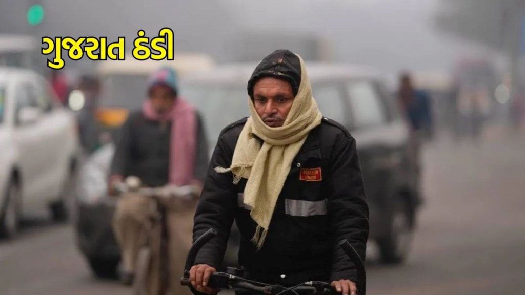 Today Weather | આજનું હવામાન : નલિયામાં ઠંડીનો પારો 5 ડિગ્રી જેટલો ઉચકાયો, ઉત્તર ભારત ધુમ્મસના લપેટામાં