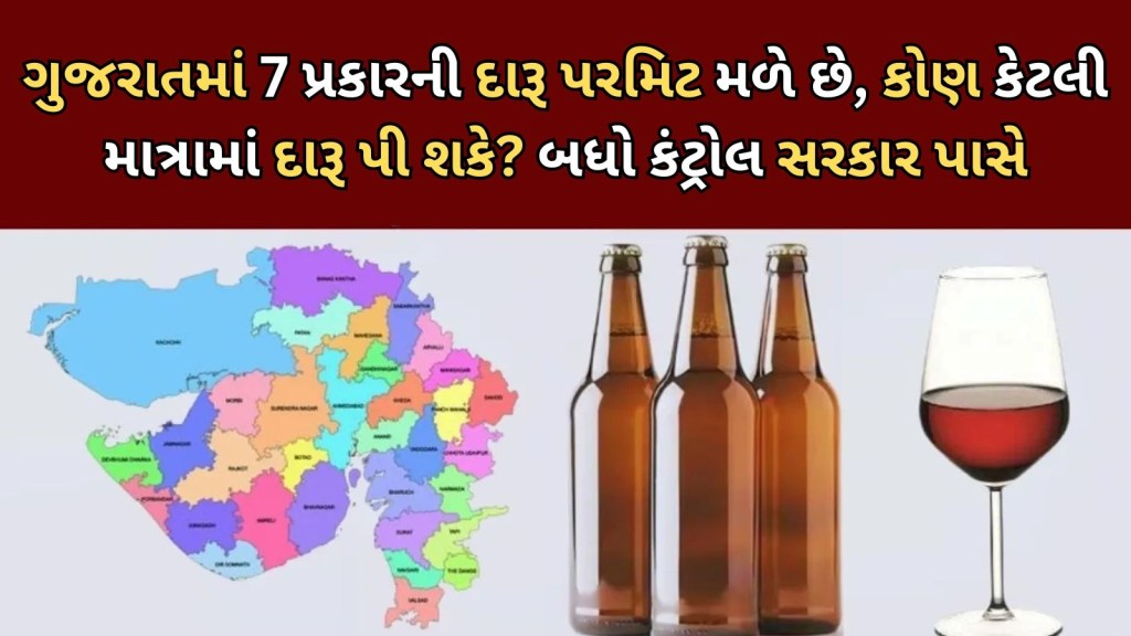 Explained : ડ્રાય સ્ટેટ ગુજરાતમાં પણ આ લોકો કરી શકે છે મદિરાપાન, જાણો કોને મળી શકે છે દારુ પરમીટ