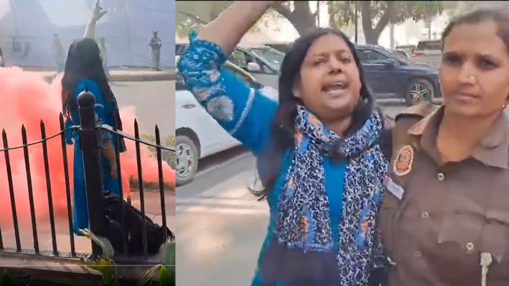 Parliament Attack: સંસદની બહાર વિરોધ કરનાર નીલમ પાસે છે એમએડ – એમફિલ સહીત 7 ડિગ્રી; તેના ભાઈ અને માતાએ જણાવી મોટી વાત