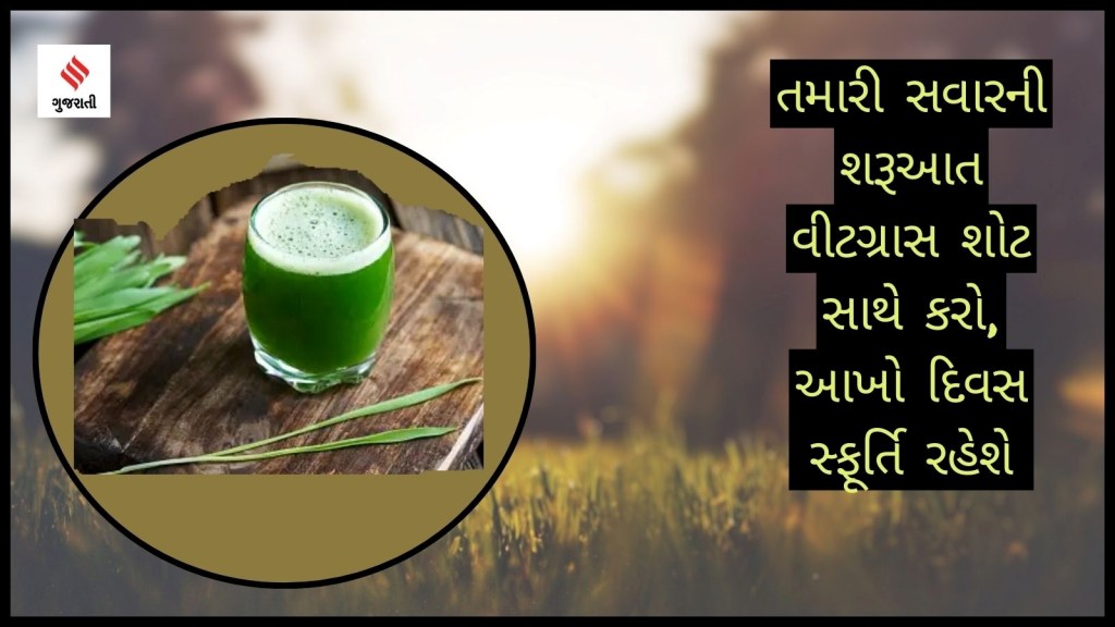 Wheatgrass Shots In Morning : તમારા દિવસની શરૂઆત આ વીટગ્રાસ શોટ સાથે કરો, દિવસભર રહેશો સ્ફ્રુતિમય, જાણો ફાયદા