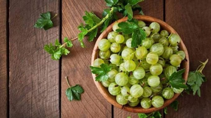 આમળામાં વિટામિન સીની સૌથી વધુ માત્રા હોય છે, જે કોલેજન ઉત્પાદનને પ્રોત્સાહન આપે છે અને વાળને મજબૂત બનાવે છે. તેના એન્ટીઑકિસડન્ટ ગુણધર્મો ઓક્સિડેટીવ તણાવ ઘટાડે છે. આ વાળ અકાળે સફેદ થવાની સમસ્યાને અટકાવે છે. (ફોટો ક્રેડિટ - ફ્રીપિક)