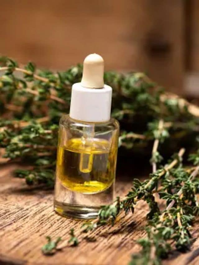 <strong>1. રોઝમેરી તેલ</strong><br>રોઝમેરીમાં બળતરા વિરોધી ગુણધર્મો છે અને તે વિટામિન A, C અને B6 થી ભરપૂર છે. તેથી તેના તેલનો ઉપયોગ વાળના વિકાસ અને ઘટ્ટ થવામાં મદદ કરે છે.