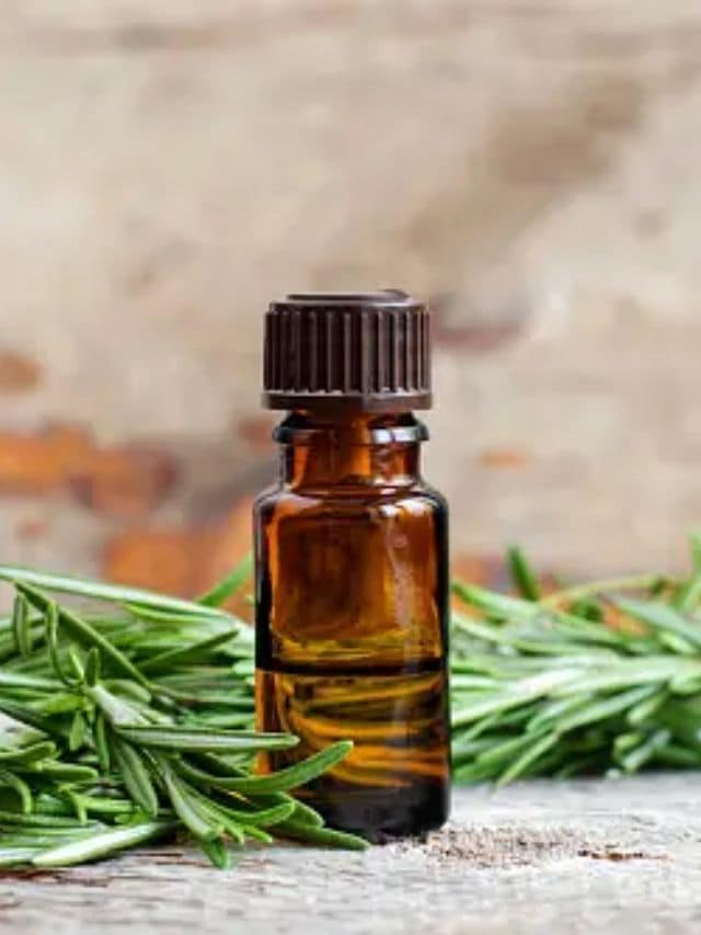<strong>1. રોઝમેરી તેલ</strong><br>રોઝમેરી તેલ અથવા રોઝમેરી પાંદડા તમારા વાળ માટે ખૂબ જ ઉપયોગી છે. આ પાનને પાણીમાં ઉકાળીને ઠંડા કર્યા બાદ તે પાણીને માથા પર લગાવવાથી વાળનો વિકાસ થાય છે.