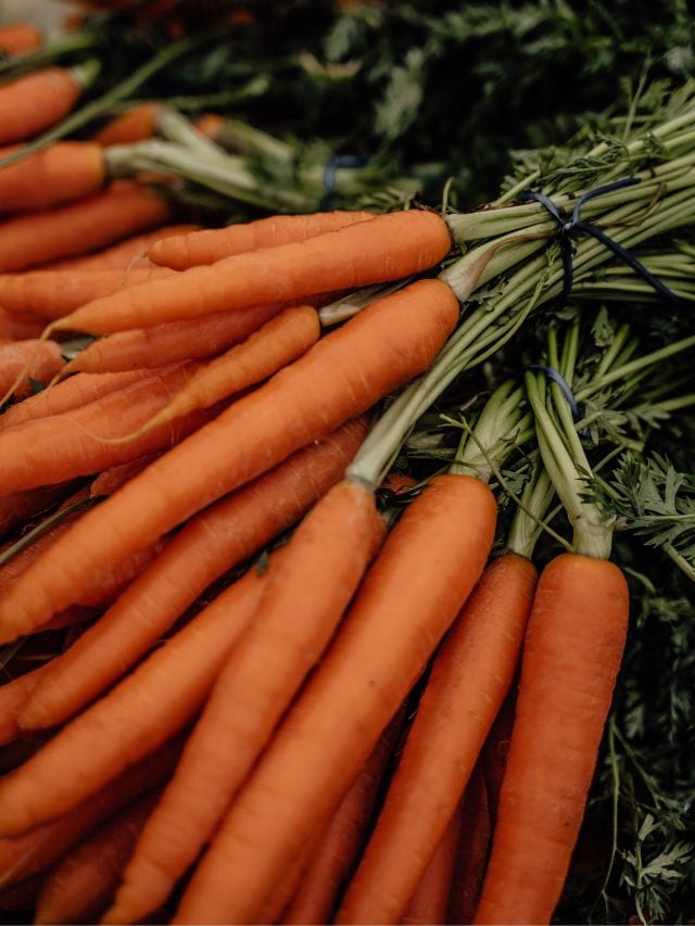 આ સિવાય તમે ગાજરને નાના-નાના ટુકડા કરીને સૂપમાં પણ નાખી શકો છો અને ગાજરનો સ્વાદ માણી શકો છો.