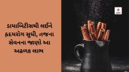 Cinnamon Gujarati Dictionary At Constance Woodford Blog
