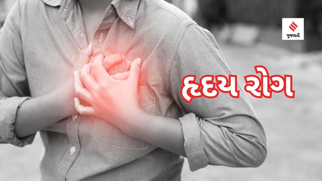 Health Tips: દરરોજ આ 5 ચીજનું સેવન કરવાથી હાર્ટ એટેકનું જોખમ વધશે, હૃદયને સ્વસ્થ્ય રાખવા આજથી ખાવાનું બંધ કરો Health Tips: દરરોજ આ 5 ચીજનું સેવન કરવાથી હાર્ટ એટેકનું જોખમ વધશે, હૃદયને સ્વસ્થ્ય રાખવા આજથી ખાવાનું બંધ કરો