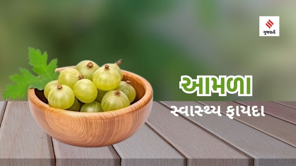 Amla Benefits: દરરોજ એક બાફેલા આમળાના સેવનથી સ્વાસ્થ્ય પર કેવી અસર થાય છે? જાણો હેલ્થ એક્સપર્ટ્સ પાસેથી Amla Benefits: દરરોજ એક બાફેલા આમળાના સેવનથી સ્વાસ્થ્ય પર કેવી અસર થાય છે? જાણો હેલ્થ એક્સપર્ટ્સ પાસેથી